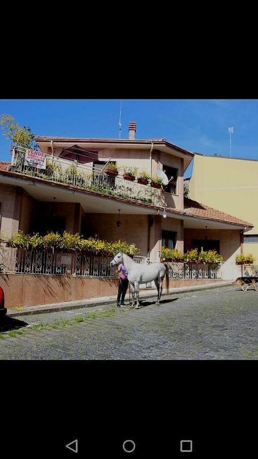 ホテル Casa Don Vicenzo ランダッツォ エクステリア 写真